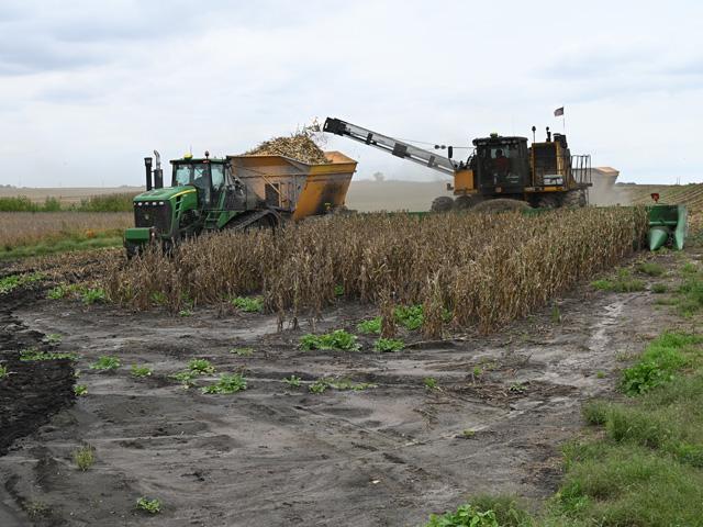 Seed corn is harvested in muddy conditions north of Ankeny, Iowa, on Thursday, Sept. 21. Persistent rainfall has made for a challenging harvest, but seed corn must be picked when it reaches maturity to preserve quality, regardless of field conditions, said Sean Harmon, who's behind the wheel of the Oxbo picker. (DTN photo by Matthew Wilde)