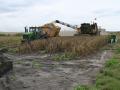 Seed corn is harvested in muddy conditions north of Ankeny, Iowa, on Thursday, Sept. 21. Persistent rainfall has made for a challenging harvest, but seed corn must be picked when it reaches maturity to preserve quality, regardless of field conditions, said Sean Harmon, who's behind the wheel of the Oxbo picker. (DTN photo by Matthew Wilde)