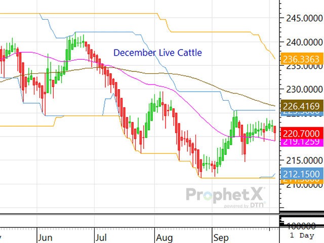 Until greater fundamental support arises, it's likely that the live cattle complex could remain in its sideways trend. (DTN ProphetX chart)