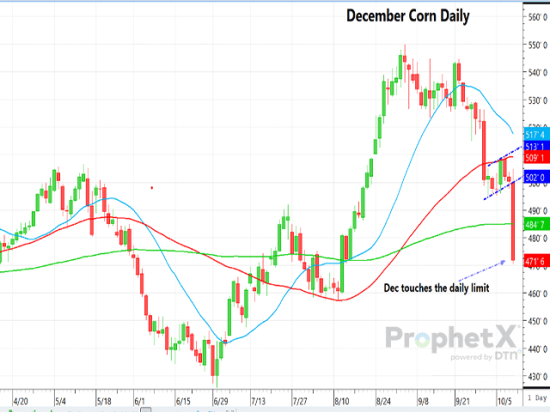 The chart above shows the daily chart for December 2026 corn, showing the dramatic bearish reaction to the shocking yield data on Friday's WASDE report. (DTN ProphetX chart)