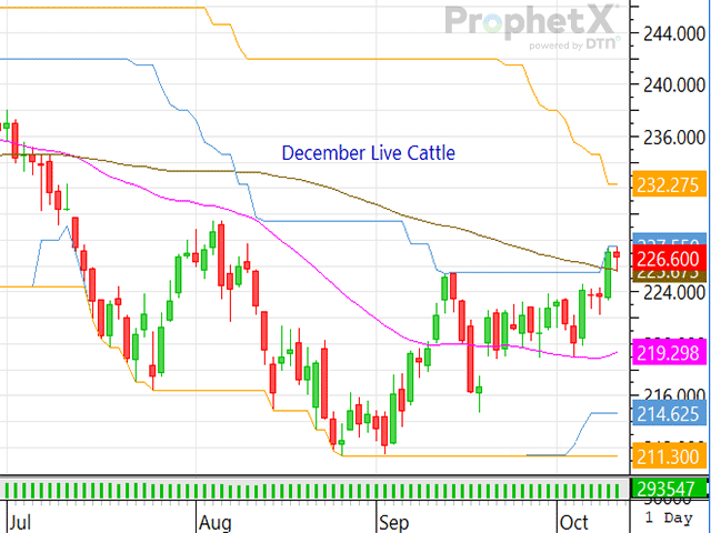 Traders believed there was a chance that last week's cash market could trade higher, and thanks to that small chance, they drove the contracts noticeably higher on Friday, Oct. 9. (DTN ProphetX chart)