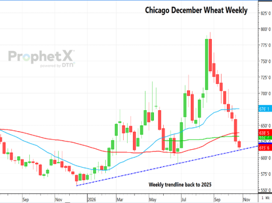 December Chicago wheat futures have retreated to a long-term weekly trendline established in late 2025 after nine consecutive weeks of losses, a technical level that could signal slowing downside momentum or encourage short-covering. (DTN ProphetX chart)