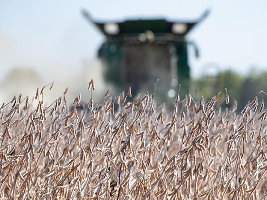 Some type of substantial support for farmers could be announced as early as Oct. 7, Treasury Secretary Scott Bessent said. He criticized China for using soybean farmers as leverage against the U.S. in trade and tariff disputes. (DTN file photo by Joel Reichenberger) 