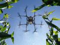 A Hylio AR-130 drone from Apple Farm Services in Covington, Ohio, sprays water as it flies through a field during a demonstration. (DTN photo by Joel Reichenberger)