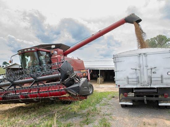A grain truck unloads wheat in Maryland. Farmers are raising concerns about rising input costs and trade uncertainty while questioning congressional spending priorities, including billions of dollars for defense and farm aid. (DTN/Progressive Farmer photo by Joel Reichenberger)