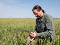 Sean Finnie, interim director of the Wheat Quality Council, takes some of the final wheat head and spikelet counts during Day 3 of the council's 2026 Hard Winter Wheat Tour. (DTN photo by Jason Jenkins)