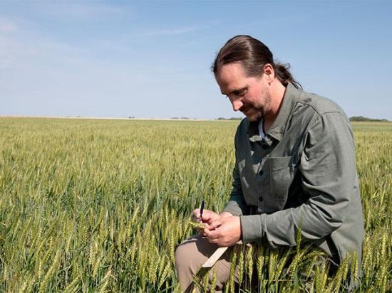 The final wheat head and spikelet counts were made during Day 3 of the Wheat Quality Council's 2026 Hard Winter Wheat Tour. (DTN photo by Jason Jenkins)