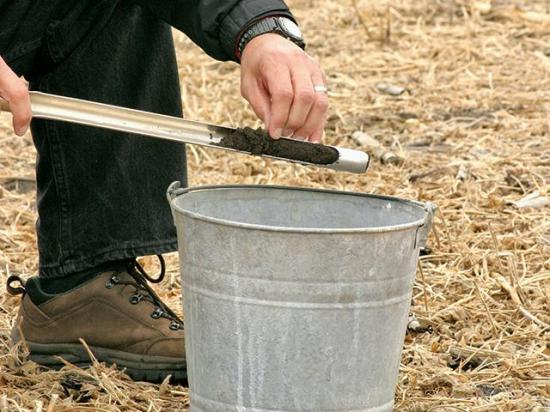 A soil test is required to determine if soybean cyst nematode is present in a field. Sampling in the fall immediately after soybean harvest is best as egg counts are at their highest levels. (Photo courtesy of Iowa State University)