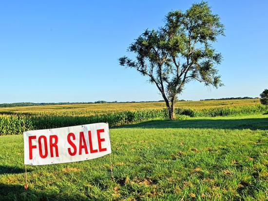 A single farmland offering of 3,776 acres divided into 28 individual tracts in three states is hitting the market. (DTN file photo)
