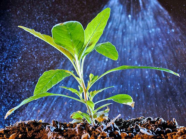 A federal court dismissed a lawsuit filed by farmers that alleged agribusinesses conspired to keep the price of chemicals higher. (DTN file photo by Jim Patrico)