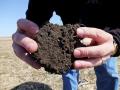 Healthy soil is essential to grow abundant, nutritious food. The USDA is seeking farmers and landowners to participate in a program to better understand how soil health practices improve agricultural productivity. (DTN file photo)