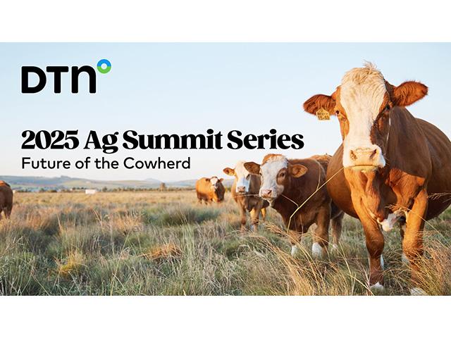 Join us for an exclusive webinar focused on the biggest near- and long-term trends in the cattle markets on June 24 from 10 a.m. to 12 p.m. CDT. (DTN image by Nick Scalise) 