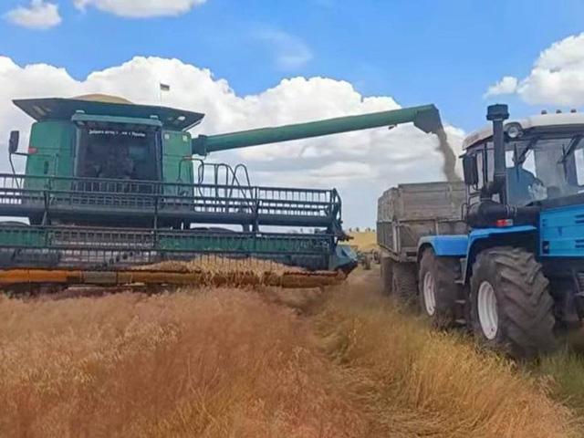 A farmer working in the village of Muravlivka in a rural community of the Odesa region of Ukraine harvesting winter barley in June. (Photo courtesy of Alena Novichkova, a member of the International Federation of Agricultural Journalists)