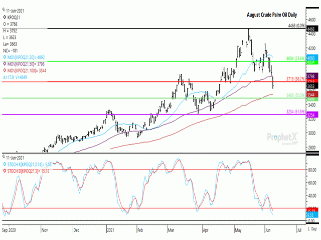 Crude palm oil for August delivery fell for a fifth straight session on June 11, forming a bearish gap lower on the chart while breaching the support from an April 21-22 gap in trade. Today's move also fell below the contract's 50-day moving average as well as the 38.2% retracement of the contract's August 2020 low to May 2021 high. (DTN ProphetX chart)