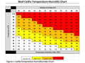 Cattle producers can determine how to handle the risk of heat stress by referring to the Beef Cattle Temperature Humidity Chart. (Chart courtesy of Rob Eirich, UNL Extension)
