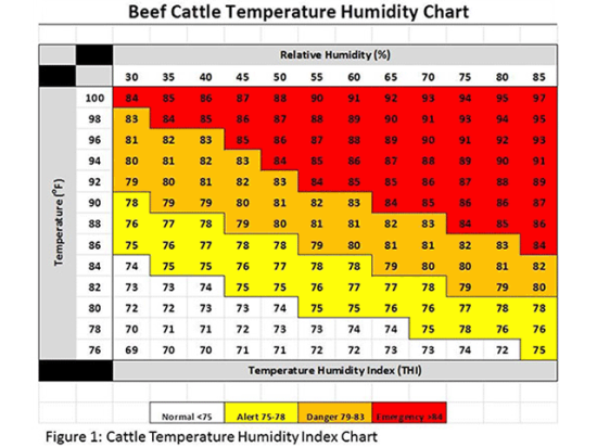 Cattle producers can determine how to handle the risk of heat stress by referring to the Beef Cattle Temperature Humidity Chart. (Chart courtesy of Rob Eirich, UNL Extension)