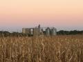 Commercial grain hedgers will take an offsetting futures market position when they buy grain but expanded trading hours could cause problems with cash and futures price convergence. (DTN file photo by Pamela Smith)