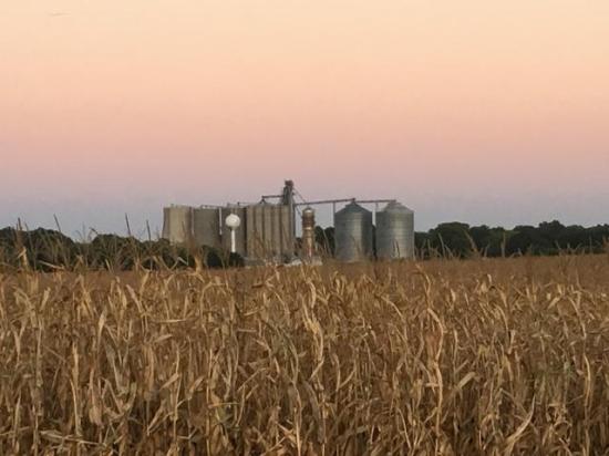 Commercial grain hedgers will take an offsetting futures market position when they buy grain but expanded trading hours could cause problems with cash and futures price convergence. (DTN file photo by Pamela Smith)