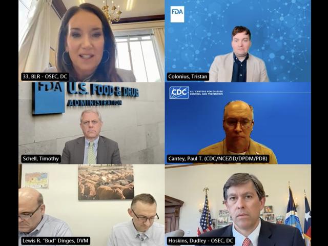 U.S. Secretary of Agriculture Brooke Rollins, along with several officials from different governmental agencies, hosted a press call on Thursday to discuss the recent confirmed case of New World screwworm. (Screenshot from USDA press call)