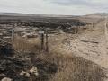 Rangeland and fences were destroyed by the Morrill Fire in western Nebraska last month. (Photo courtesy of Matt Cover)