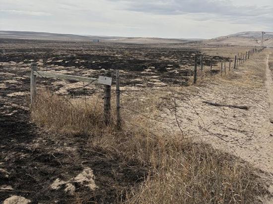 Rangeland and fences were destroyed by the Morrill Fire in western Nebraska last month. (Photo courtesy of Matt Cover)