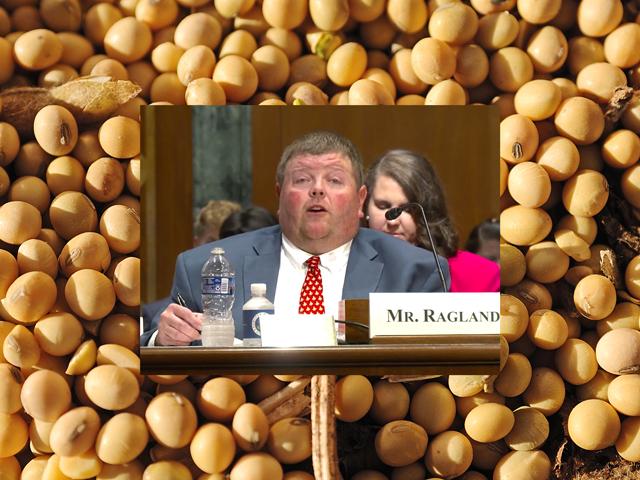 Caleb Ragland, a Kentucky farmer and president of the American Soybean Association, pointed out tariffs on soybeans being sold to China are now almost as high as 2018 trade war. He said agriculture needs greater market access to avoid the risks of a farm crisis similar to the 1980s. (DTN photo and image from livestream)


