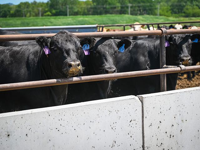 Tyson Foods announced the immediate closing of its beef facility in Joslin, Illinois, just months after their plant in Lexington, Nebraska, closed. (DTN/Progressive Farmer photo by Jennifer Carrico)