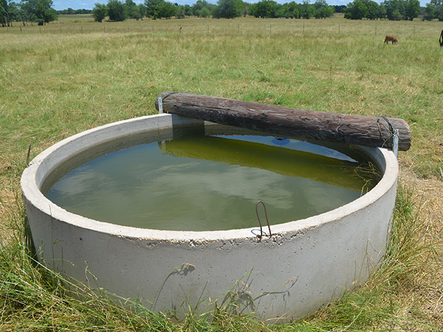New technologies can help ranchers become even more efficient. Monitoring water sites with remote cameras, sensors or even drones is one such possibility. (DTN photo by Dan Crummett)  