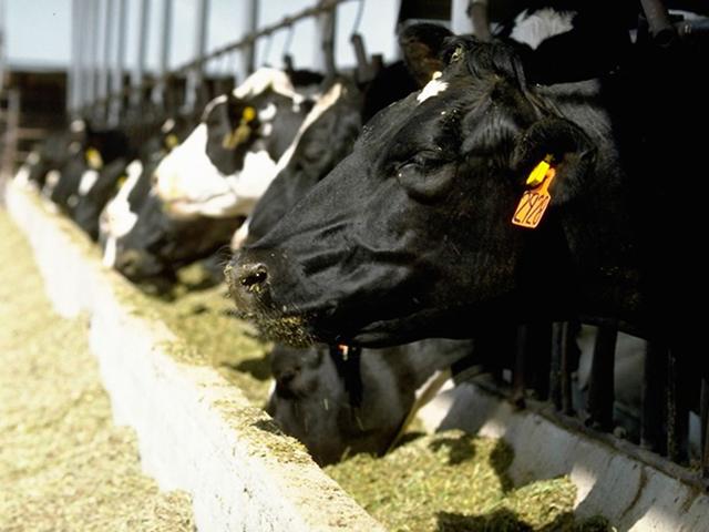 The North Dakota Department of Environmental Quality granted a permit to build a new dairy in the southeast part of the state. (DTN file photo)