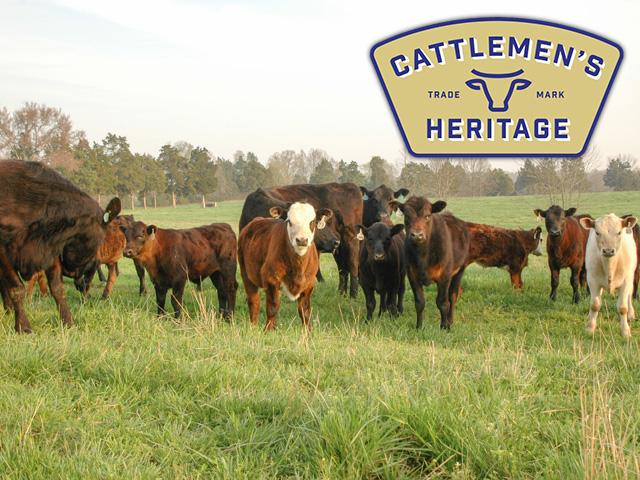 The Florida cattleman and livestock journal