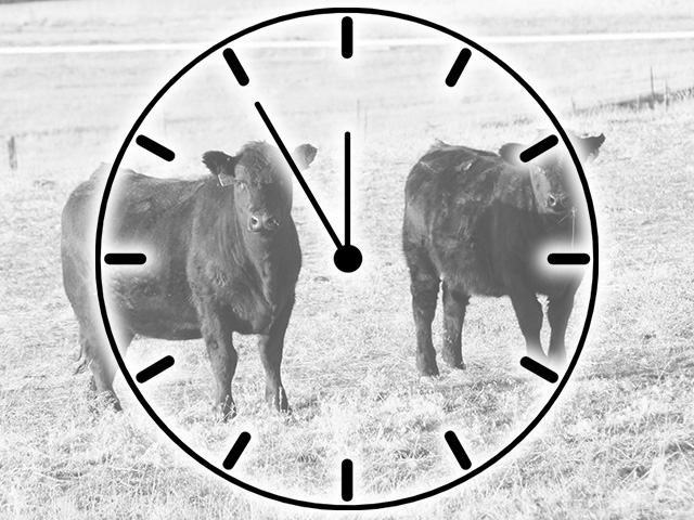 The frustrating thing about the market&#039;s timing is that it rarely matches our timing. (DTN photo by ShayLe Stewart)