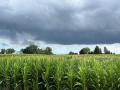 USDA on Tuesday estimated a record 16.7-billion-bushel corn crop. (DTN file photo by Pam Smith)