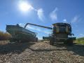 The Nebraska Public Service Commission ordered an Axtell, Nebraska, company on Thursday to cease all operations as a grain dealer and warehouse. (DTN file photo)