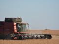 As fall harvest is starting to ramp up, so are talks among lawmakers and officials in the Trump administration about another potential aid package to help farmers manage through low commodity prices and higher input costs. (DTN file photo by Chris Clayton) 