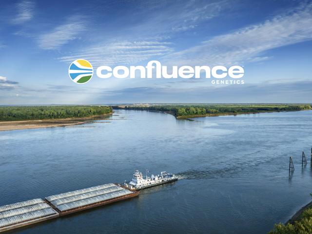A new company with a new name, Confluence Genetics, will continue in specialty soybeans with assets from bankrupt Benson Hill. (Photo courtesy of Confluence Genetics)