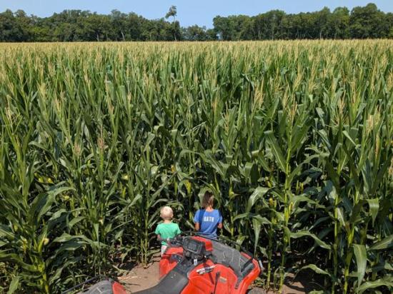 Tyler Rath got some corn scouting help from some young assistants this week. The Belgrade, Minnesota, farmer was about to wear himself out irrigating when a much-needed rain found his fields. (Photo courtesy of Tyler Rath)