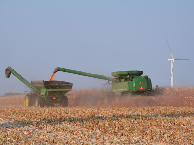 Good drying weather in mid-October will help corn moisture levels to decrease but not as fast in fields hit by the recent derecho. Corn drydown calculators could provide inaccurate estimates in those areas. (DTN/Progressive Farmer photo by Matthew Wilde)