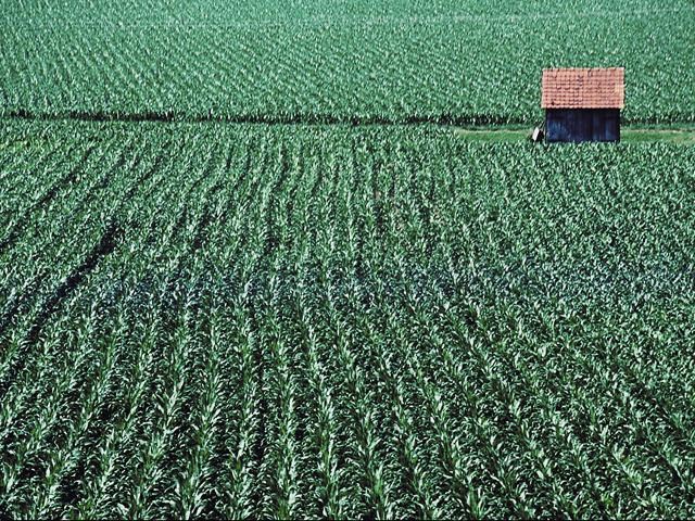 The amount of agricultural land for sale is struggling to keep pace with buyers&#039; demands. (DTN file photo)