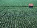The amount of agricultural land for sale is struggling to keep pace with buyers&#039; demands. (DTN file photo)