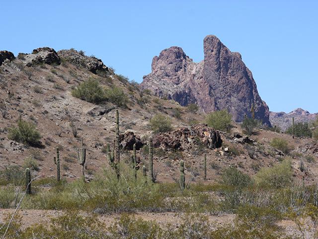 The state of Arizona sued a Saudi-owned dairy in the state to prevent the company from continuing groundwater pumping. (Photo by Kevin Dooley, CC-BY-2)