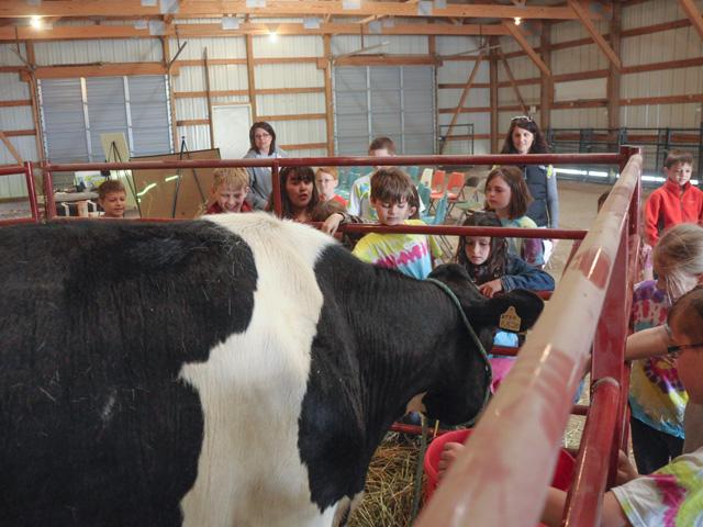 While it is impossible to completely child-proof a farm, there are certain safety practices that should be implemented. These include supervising children around livestock. (DTN file photo by Russ Quinn)