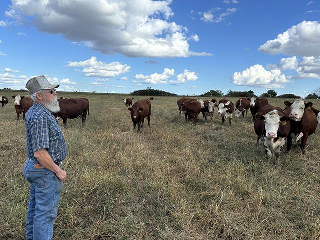 Wilburn Harris calls out to his cows on his farm in Drexel, Missouri, on Sept. 16. He owns about 70 head of cattle and would have had to sell many of them last year if not for federal drought relief. (Photo by Harshawn Ratanpal, KBIA)
