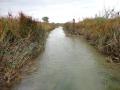 A federal court dismissed a lawsuit filed by the state of Kentucky against the new waters of the U.S. rule. (DTN file photo)