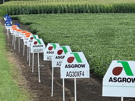 More seed companies are offering soybean varieties with alternate sources of SCN resistance. It&#039;s important to learn what resistance is within the soybean to manage the pest. (DTN photo by Pamela Smith)