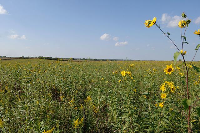 Signup for the general Conservation Reserve Program opens on Jan. 31 with USDA looking to enroll at least 3.4 million acres in the program. The program has 22.1 million acres enrolled now after 4.6 million acres were signed up last year. (DTN file photo) 