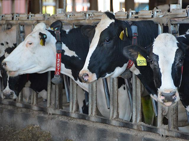 The U.S. Environmental Protection Agency has a court to issue an emergency injunction to require dairies in the Lower Yakima Valley in Washington state to take measures to protect groundwater. (DTN file photo by Chris Clayton)