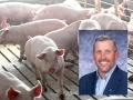 The National Pork Board names David Newman as its next CEO. (DTN file photo; courtesy photo of David Newman)