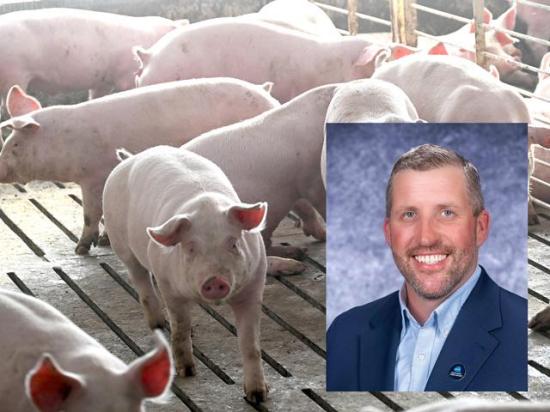 The National Pork Board names David Newman as its next CEO. (DTN file photo; courtesy photo of David Newman)