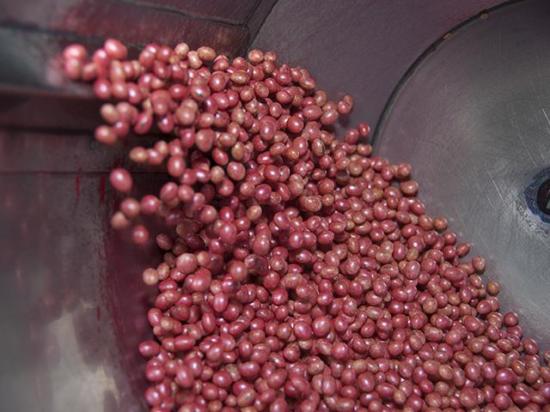 Minnesota lawmakers considered a bill this week that would ban the use of treated seed in ethanol production and require state agencies to regulate disposal, following the environmental disaster at an ethanol plant in Nebraska. (DTN file photo)