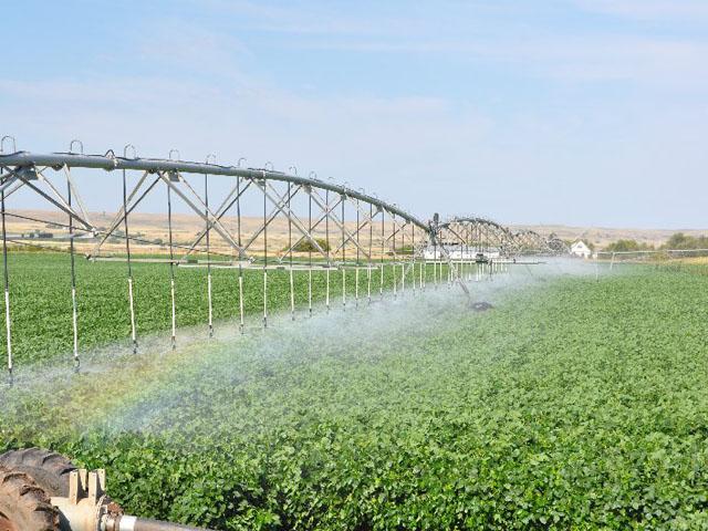 A center pivot in Nebraska. Farmers in the Cornhusker State pay some of the highest property taxes in the country. A proposal from Gov. Jim Pillen would shift some of that burden to higher sales taxes across the state. (DTN file photo) 
